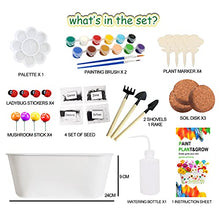 Load image into Gallery viewer, HEYINI Flowers Planting Growing Kit, Gardening Plant and Paint Arts Crafts Sets for Kids Contains 4 Different Flowers, Craft Kit DIY Plants and Paint Tools for Girls Boys Over 3 Years Old, White
