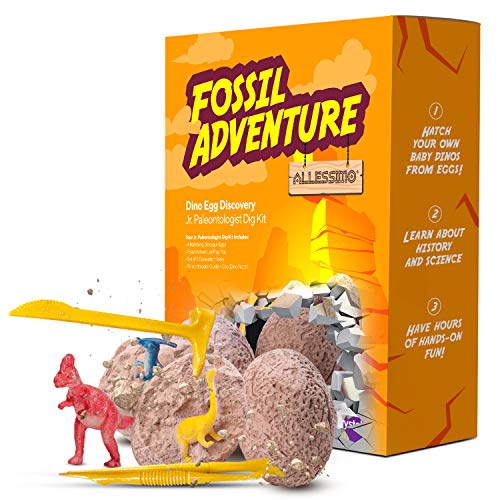 ALLESSIMO Fossil Adventure - Ancient Dino Egg Fossil Dig Kit, Complete Archeology Excavation Toy for Kids, Hatch Your Own Dinosaur Egg, Educational and Fun Learning Adventure for Boys and Girls