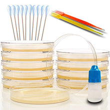 Load image into Gallery viewer, Amazing Bacteria Science Kit - Prepoured Agar Plates Kit - Science Project Kit - Superior Performance - Science Project Experiment Ebook Included - Have Fun Learning Microbiology Now
