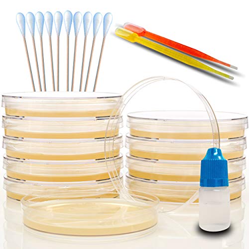 Amazing Bacteria Science Kit - Prepoured Agar Plates Kit - Science Project Kit - Superior Performance - Science Project Experiment Ebook Included - Have Fun Learning Microbiology Now