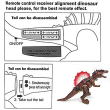 Load image into Gallery viewer, R/C Spinosaurus Dinosaur , Big Action Figure, Walking Robot. (Brown)
