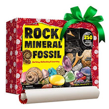 Load image into Gallery viewer, Rocks Minerals &amp; Fossils Collection for Kids 250+ Real Gemstones and Crystals Rock Identification Kit Includes Display Case, Genuine Fossils, Geodes Great Geology, Science Gift for Boys &amp; Girls
