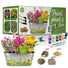Load image into Gallery viewer, TeiRAY Paint &amp; Plant Flower Growing Kit for Kids - Best Birthday Crafts Gifts for Girls&amp;Boys Age 5, 6, 7, 8-12 Year Old Girl Childrens Gardening Kits, Art Crafts Projects Toys for Ages4-12
