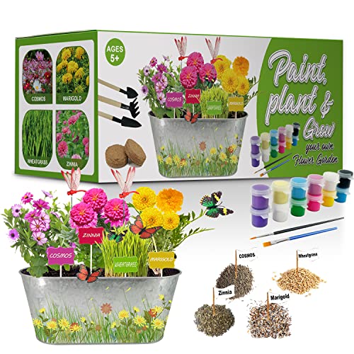 TeiRAY Paint & Plant Flower Growing Kit for Kids - Best Birthday Crafts Gifts for Girls&Boys Age 5, 6, 7, 8-12 Year Old Girl Childrens Gardening Kits, Art Crafts Projects Toys for Ages4-12