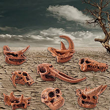Load image into Gallery viewer, 8PCS Realistic Mini Mammal Skull Set Prehistoric Animals for Sandbox Kids Toys Woolly Rhino Smilodon Daeodon Mastodon Arsinoitherium
