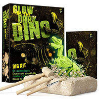 XXTOYS Dino Skeleton Dig Kit for Kids - Glow in The Dark Dinosaur Fossil - Dinosaur Toys for Boys & Girls, Great Birthday, STEM Science, Archaeology Gift for Kids Age 4-12