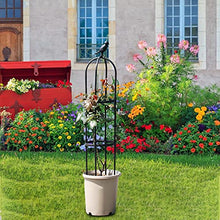 Load image into Gallery viewer, CHUWUJU Garden Obelisk for Climbing Plants,Tall 4/5ft Metal Garden Arch Trellis, Garden Flower Steel Frame Plant Support for Clematis, Roses &amp; Vegetables
