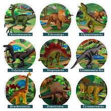 Load image into Gallery viewer, Dinosaur Toys Set with 9 Realistic Dinosaur Figures, Activity Play Mat &amp; Trees, Educational Toys Indoor Outdoor Playset to Create a Dino World w/ T-Rex
