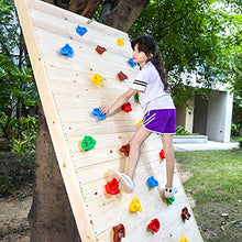 Load image into Gallery viewer, TOPNEW 10PCS Climbing Holds for Kids, Rock Wall Climbing Kit with Hardware for Indoor and Outdoor Climbing Wall
