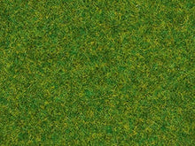 Load image into Gallery viewer, Noch 8314 Scatter Grass Orn Lwn 20g G,0,H0,TT,N,Z Scale
