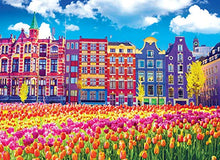 Load image into Gallery viewer, KODAK PREMIUM PUZZLES 1000 Piece - Traditional Old Buildings and Tulips in Amsterdam Netherlands Holland
