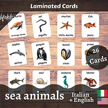 Load image into Gallery viewer, Sea Animals Flash Cards - 26 Laminated Flashcards | Ocean Animals | Water Animals | Homeschool | Multilingual Flash Cards | Bilingual Flashcards - Choose Your Language (Italian + English)
