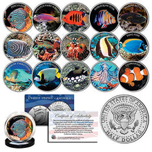Load image into Gallery viewer, Salt Water Fish Aquarium Tank Kennedy Half Dollars U.S. Complete 15-Coin Set COA
