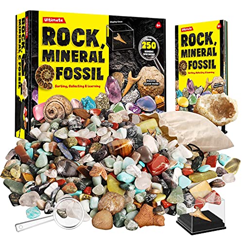 Rocks Minerals & Fossils Collection for Kids 250+ Real Gemstones and Crystals Rock Identification Kit Includes Display Case, Genuine Fossils, Geodes Great Geology, Science Gift for Boys & Girls