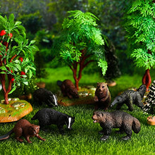 Load image into Gallery viewer, HOMNIVE Realistic Animal Figures - 7pcs Animals Action Model Includes Badger Beaver Anteater Wolverine - Educational Learning Toys Birthday Gift Set for Boys Girls Kids Toddlers
