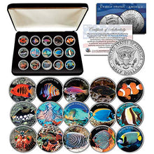 Load image into Gallery viewer, Salt Water Fish Aquarium Tank JFK Half Dollars US 15-Coin Complete Set with Box
