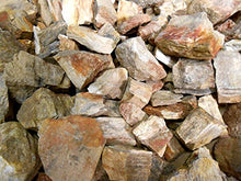 Load image into Gallery viewer, Rock Tumbler Gem Refill Kit Cameron, Texas Petrified Wood Tumbling Rough 8oz
