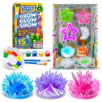 Crystal Growing Kit for Kids - 10 Crystals Science Experiment Kit + 2 Glow in The Dark Crystals with DIY Paint Display Stand  Great Gift for Girls and Boys Ages 6-12