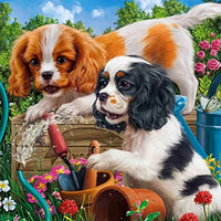GUOXUE Puppy in The Garden Adult Puzzle 1000 or Jigsaw Puzzle - 1000 Piece Puzzles for Adults 1000 Piece -29.5