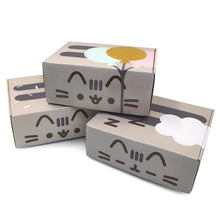 Load image into Gallery viewer, Pusheen Box  Officially Licensed Pusheen the Cat Mystery Subscription Box
