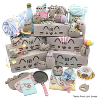 Pusheen Box  Officially Licensed Pusheen the Cat Mystery Subscription Box